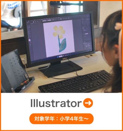 illustrator